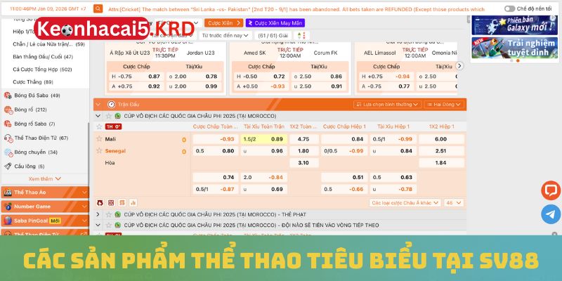 Các sản phẩm thể thao tiêu biểu tại SV88